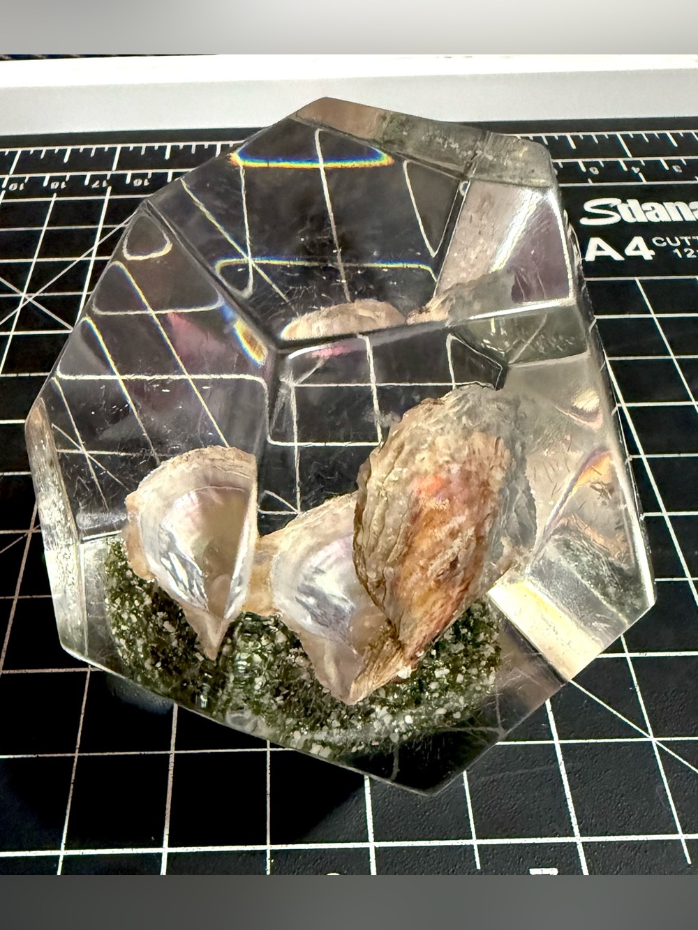 Vintage Lucite Paperweight With Pearl in Oyster Shell